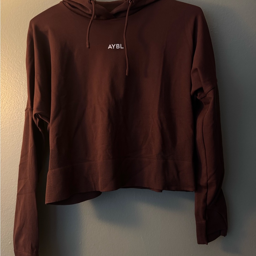 AYBL Chocolate Brown Women's Hoodie